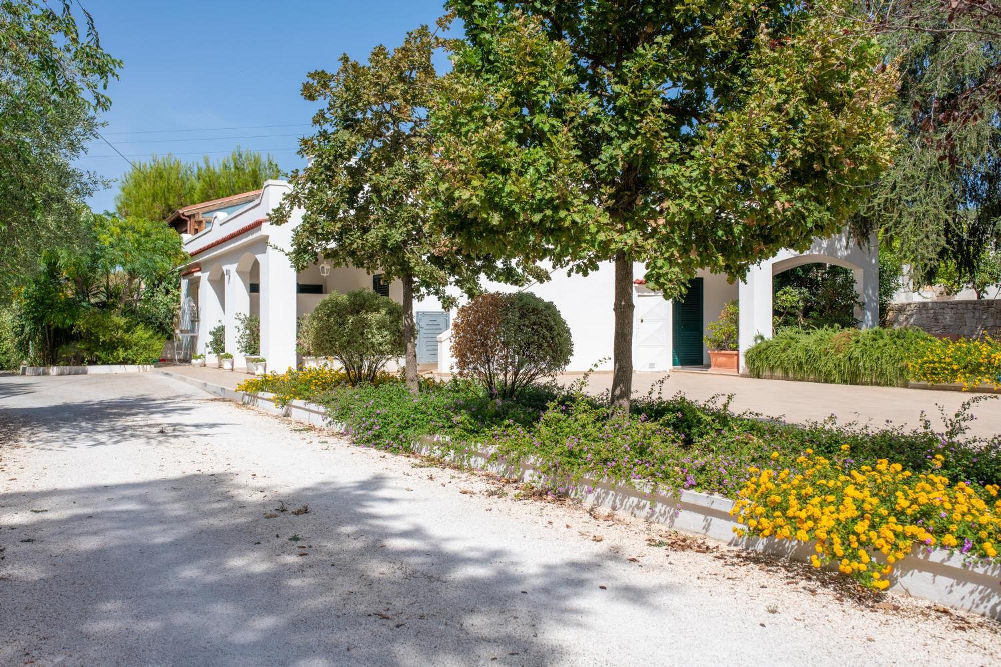 Mandorlocarrubo'S Suite Ostuni Ngoại thất bức ảnh